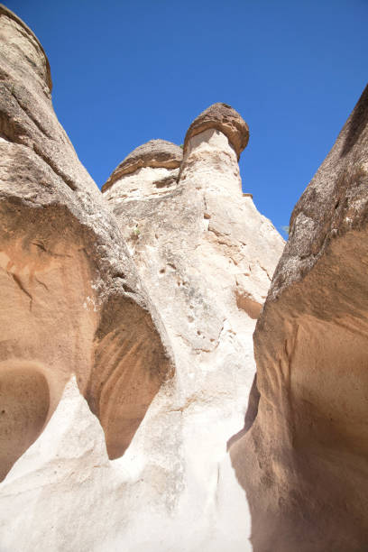 istock Vacation in Turkey view of Pasabag Valley during summer 1481385587