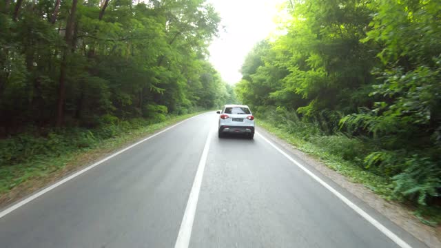 Aerial shot of car riding through forest rural road. White SUV driving at empty country route near wood on summer day. Follow to auto moving during journey or trip. Scenic landscape way. Slow motion