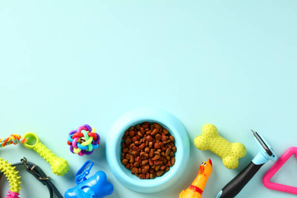 istock Pet accessories and toys on blue background. Flat lay, top view 1481385807