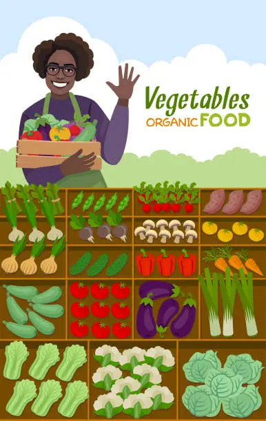Vector illustration of Farm shop. Local stall market. Selling vegetables. Organic Food. A young African American Woman holding a crate of vegetables.