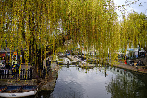 Camden Town, London, UK: Camden Lock on Regents Canal near Camden Market with willow trees.