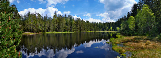 istock Beautiful lake landscape 1481388910