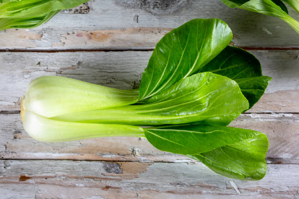istock Bok choy - Pak Choi 1481389225