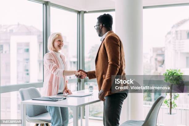 Successful Partnership Stock Photo - Download Image Now - Recruitment, Advice, Banking