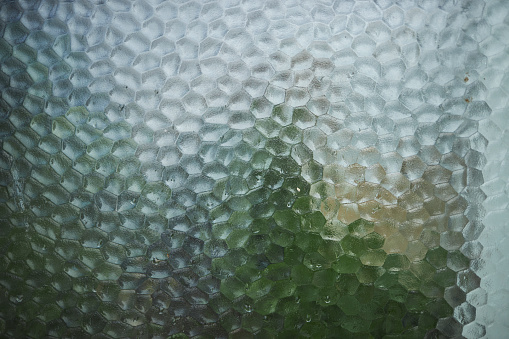 green scenery hidden behind the frosted house window glass