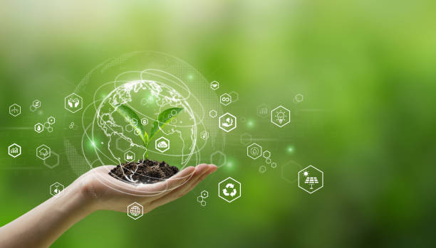 istock Environmental technology concept. Sustainable development goals. SDGs.hand holding young plant with reduce pollution ESG icon on a green. eco earth day.environmental saving, CSR, ESG awareness. 1481397917