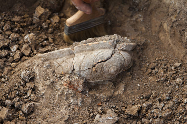istock Archaeological excavations, archaeologist work, dig up an ancient clay artifact with special brush 1481397933