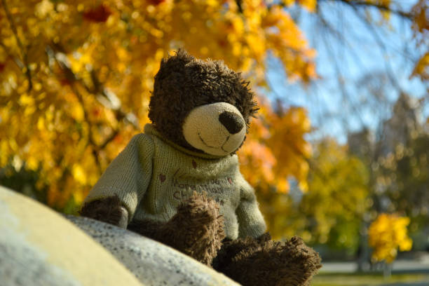 istock Close-up teddy bear sits on a stone in the autumn park 1481401311
