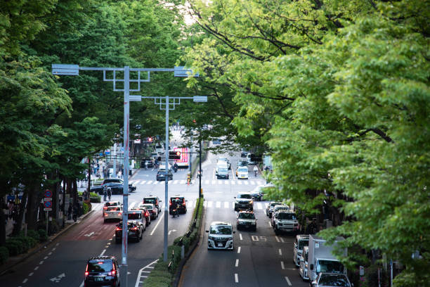 istock Harajuku in Tokyo 1481402509