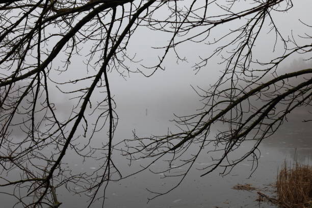 istock Fishermen on the ice, heavy fog, early spring 1481403878