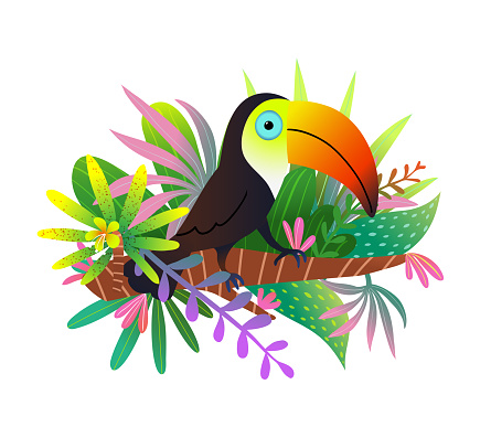 A colorful hand-drawn clipart of a toucan with exotic leaves in jungle nature. Bird character illustration in vibrant colors, hand drawn design. Vector illustration modern design.