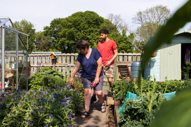 istock Mother and Son in Their Allotment 1481409126