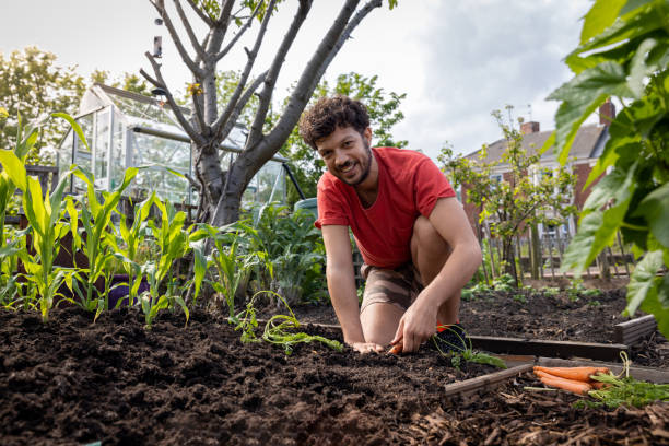 istock Happy When Im in my Allotment 1481409800