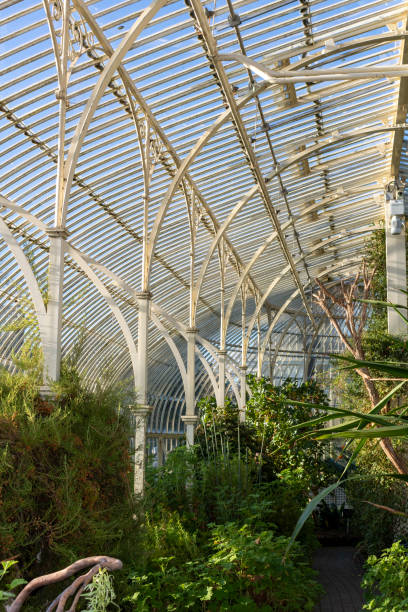 istock Greenhouse with plants. 1481414359
