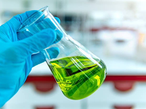 istock Laboratory beaker in analyst's hand in plastic glove. 1481417264