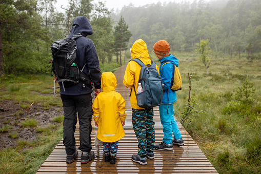 Family, enjoying the hike to Preikestolen, the Pulpit Rock in Lysebotn, Norway on a rainy day, toddler climbing with his pet dog the one of the most scenic fjords in Norway