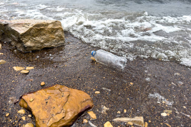 garbage on the beach empty used dirty plastic bottle, dirty sea sandy shore, environmental pollution. - toxic substance spilling pouring bottle imagens e fotografias de stock