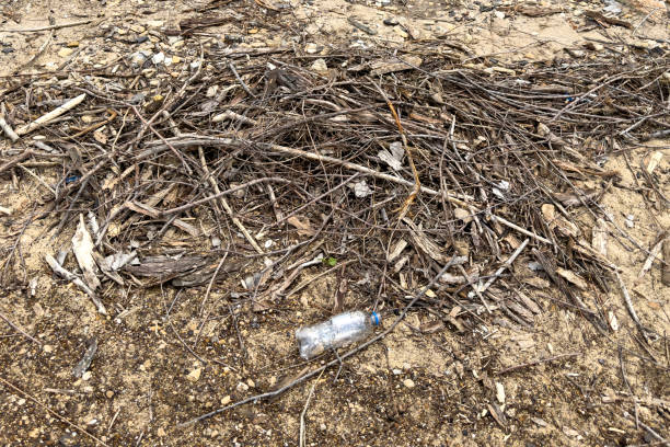 spilled garbage on ground used dirty plastic bottle, environmental pollution, ecological problem. - toxic substance spilling pouring bottle imagens e fotografias de stock