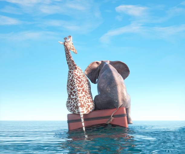 istock Elephant and giraffe on a luggages in the ocean.  Shipwrecked. 1481419631