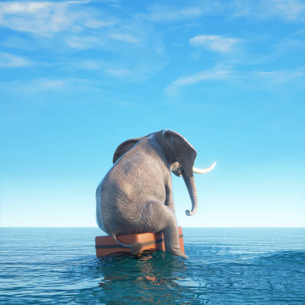 istock Elephant on a luggages in the ocean.  Shipwrecked. 1481419682