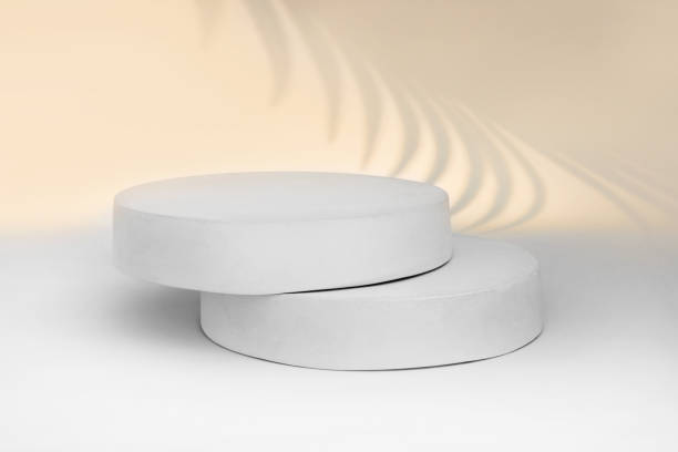 istock Podium for Cosmetics, Soap, Items Presentation. Abstract Minimal Geometric Sphere. Cylinder Two Forms, Soft Shadow. Scene to Show Product, Object. Showcase Display Case. Palm Leaf. Nude Tones Ad Stand 1481420256