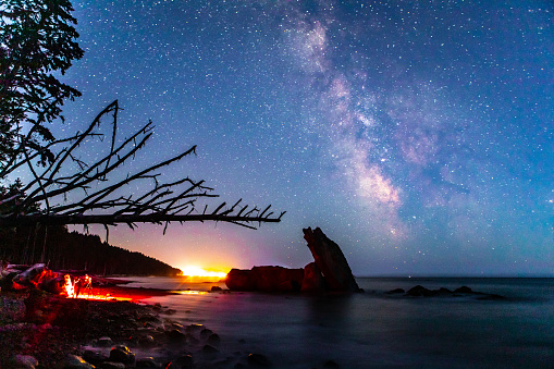 Beautiful Milky Way Galaxy over Ocean at Twilight Long Exposure Trees in Foreground