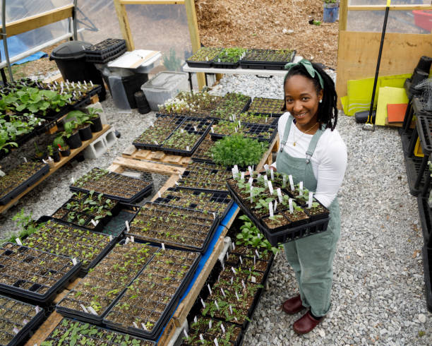 istock Farmer In Her Greenhouse 1481425763