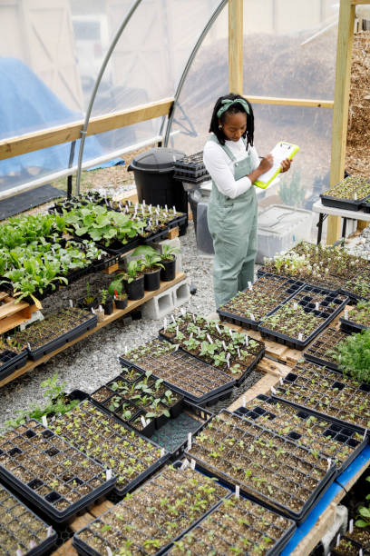 istock Farmer In Her Greenhouse 1481425773