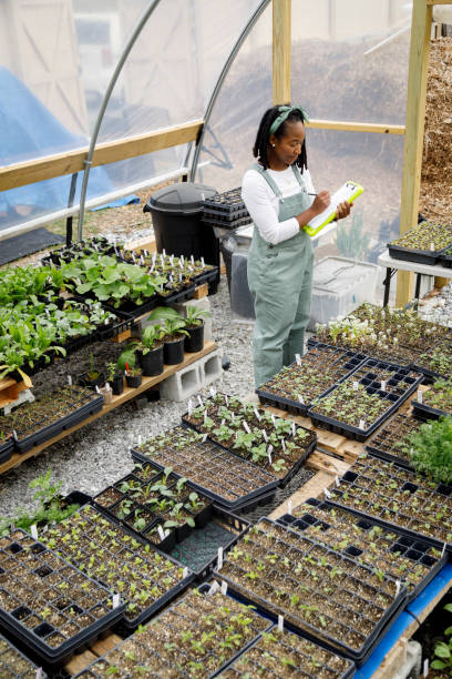 istock Farmer In Her Greenhouse 1481425774