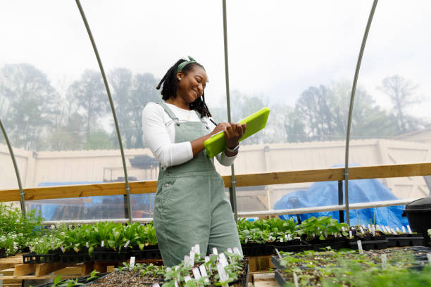 istock Farmer In Her Greenhouse 1481425780