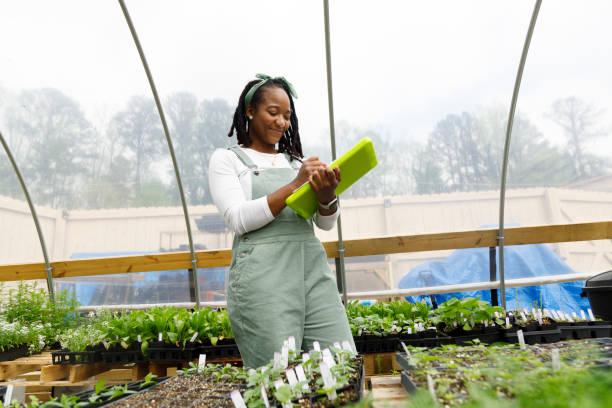 istock Farmer In Her Greenhouse 1481425782