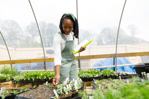 istock Farmer In Her Greenhouse 1481425783
