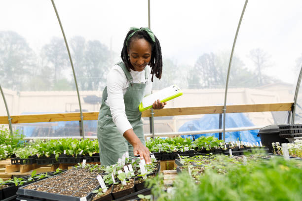 istock Farmer In Her Greenhouse 1481425787