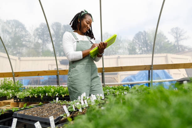 Farmer In Her Greenhouse