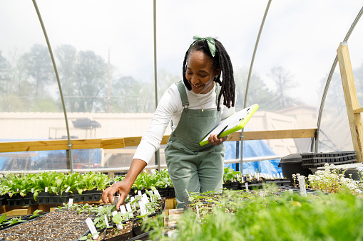 A farmer stands in her greenhouse and inspects her crops.  She is wearing green overalls and a long sleeved white shirt.  She is black, has shoulder length dreadlocks tied back with a a green headband, and is holding a clipboard.  You can see various seedlings growing in the greenhouse around her.