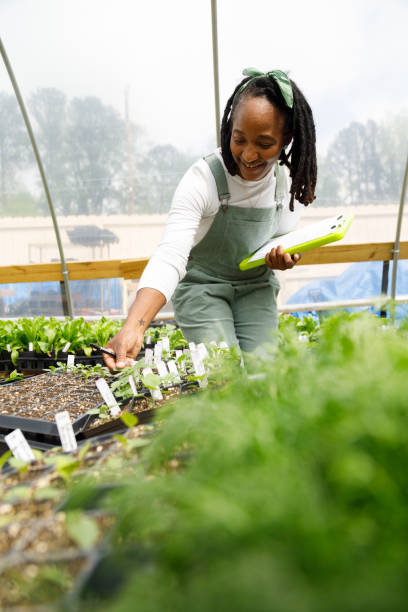 istock Farmer In Her Greenhouse 1481425792