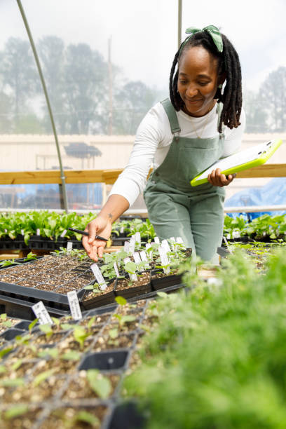 istock Farmer In Her Greenhouse 1481425797