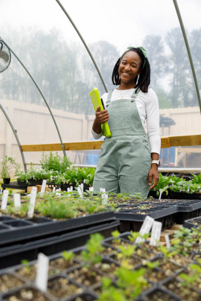 istock Farmer In Her Greenhouse 1481425807
