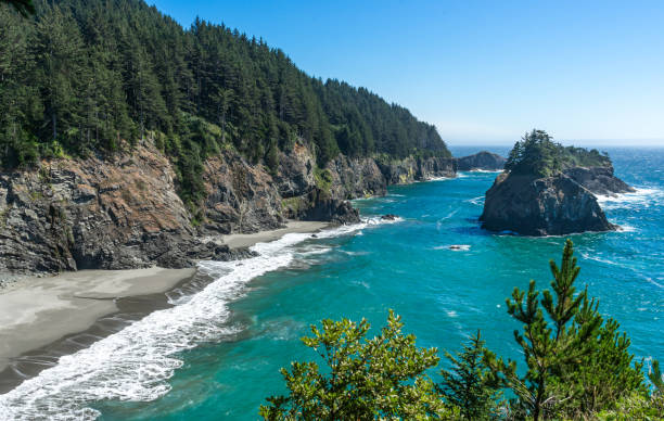 istock Beach South of Arch Rock 1481427712