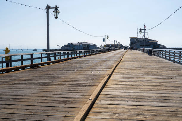 istock Stearns Wharf in Santa Barbara 1481428738