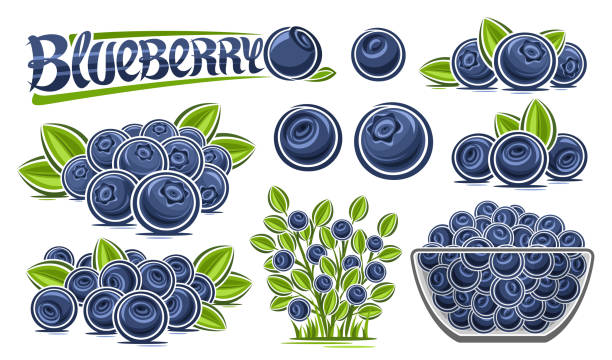 ベクターブルーベリーセット - blueberry white background blue heap点のイラスト素材／クリップアート素材／マンガ素材／アイコン素材