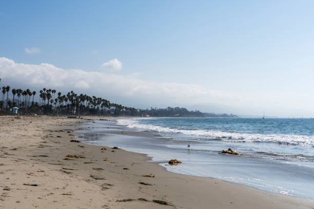 istock Santa Barbara in California, USA 1481428848