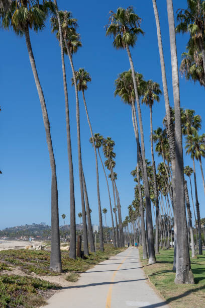 istock Santa Barbara in California 1481428921