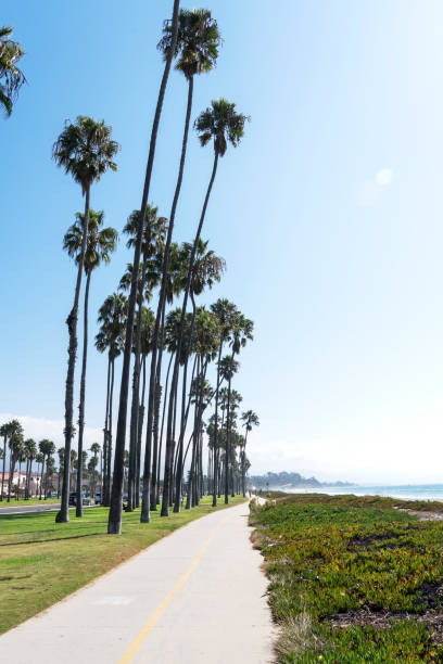 istock Santa Barbara in California 1481430078