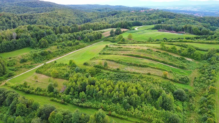 Valley with fields, meadows, agricultural farms, forests and houses