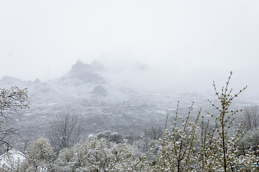 Frozen landscape in winter in the Sierra de Gredos, Spain