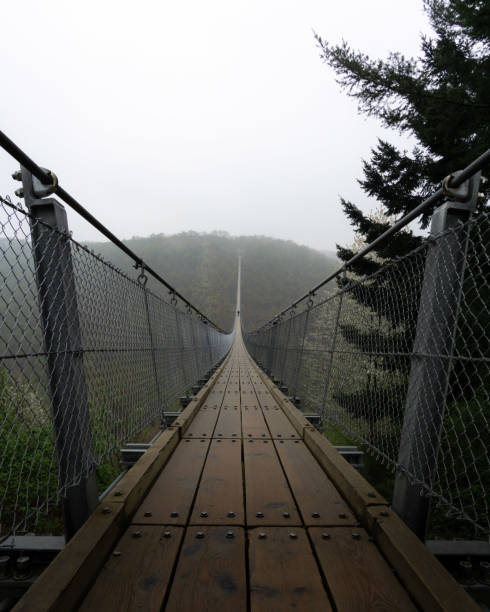istock huge suspension bridge in Germany 1481439312