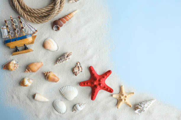 istock Seashells, Starfish and corals on blue background, top view, copy space. Summer vacation or holiday concept 1481443977