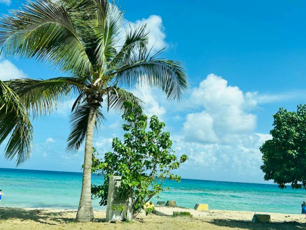 istock Saint Croix, Virgin Islands, USA 1481444082