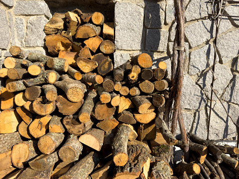 Tree stumps lined up in front of a stone wall